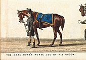 The late Duke's horse