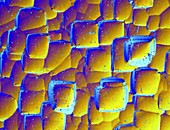 Solar cell,monocrystalline,Micrograph