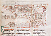 Harley Psalter