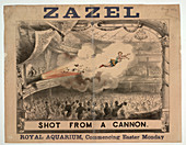 Madame Zazel shot from a cannon