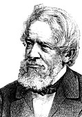 Heinrich Dove,Prussian physicist