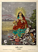 Lakshmi the Goddess of fortune