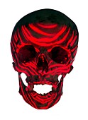 Skull warning,conceptual image