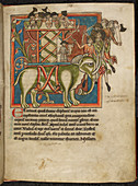 Elephant with a wooden tower on its ba