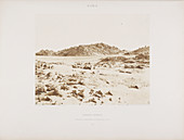 Photograph of the Egyptian landscape