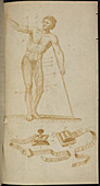 A medical diagram of a naked man