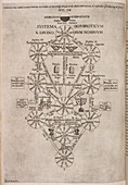 Diagram on page from 'Oedipus Aegyptiacus