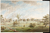 Watercolour of Barrackpore House and Park