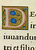 Manuscript ornamental letter D