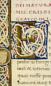 E From A Life of Christ Manuscript