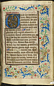 Book of Hours,Use of Sarum