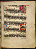 Page of illuminated manuscript