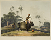 Illustration of man loading an oxen