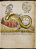 Dragon with the head of king
