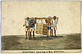 Hammals carrying a bale of cotton