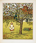 Boy and girl picking apples