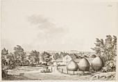 Rural landscape,19th century