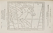 Pegasus star constellation
