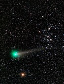 Comet C2013 R1 and star cluster M44