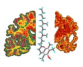 Alzheimer's brain and vitamin E molecule