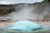 Geyser erupting,Iceland