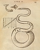 Uncoiled trumpet,17th century