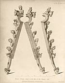 Bronze forceps found in the Thames,1840