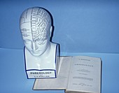 Phrenology head,circa 1851