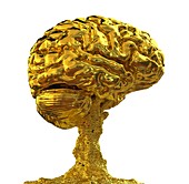 Brain made of gold,conceptual image