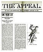 Passenger pigeon newspaper article,1911