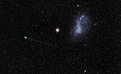 Comet,globular cluster and dwarf galaxy
