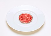 Cultured meat product,conceptual image