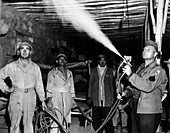 DDT pesticide use,World War II