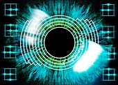 Biometric eye scan