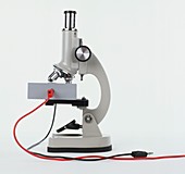 Side view of a microscope