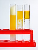 Three glass test tubes in stand