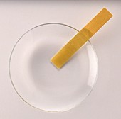 Litmus test strip in tap water