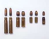 Bullets and brass casings