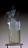 Beaker of heated,steaming water