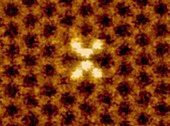 Silicon atoms in graphene sheet