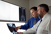 Chiropractors examining spinal X-rays