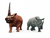 Elasmotherium and rhino compared,artwork