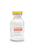 Co-amoxiclav antibiotic solution