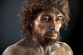 Homo heidelbergensis model