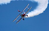 Wing-walking display