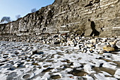 Limestone pavement at Lyme Regis,UK