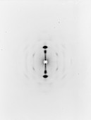 Rolled flux,X-ray diffraction image