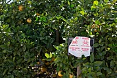 Pesticide warning sign