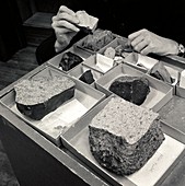 Meteorites from Antarctica