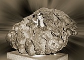 Willamette iron meteorite